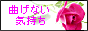 banner[1].gif